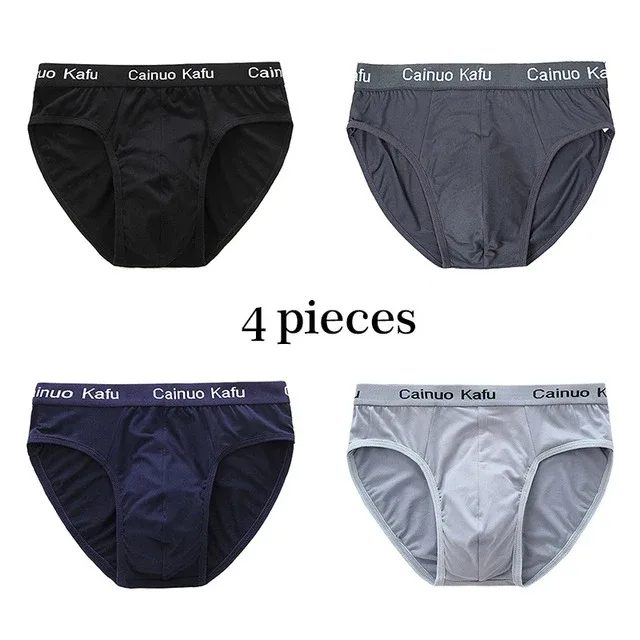 4 ชิ้นกางเกงในชาย Mens ชุดชั้นในฤดูร้อนขนาดใหญ่ L-5XL ความยืดหยุ่นชุดชั้นในชายกางเกงสบายเซ็กซี่กางเกงขาสั้นชายกางเกงร้อน