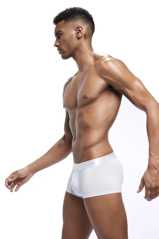 Brand Mens Underwear Boxers High Quality Modal Cuecas Boxers Men Boxer Homme Boxershorts Men Male Panties calzoncillos — image 15