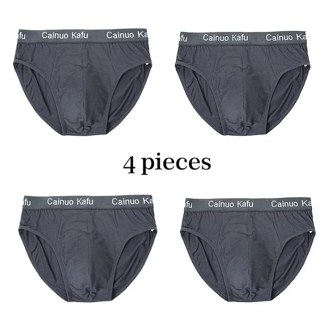 4 ชิ้นกางเกงในชาย Mens ชุดชั้นในฤดูร้อนขนาดใหญ่ L-5XL ความยืดหยุ่นชุดชั้นในชายกางเกงสบายเซ็กซี่กางเกงขาสั้นชายกางเกงร้อน
