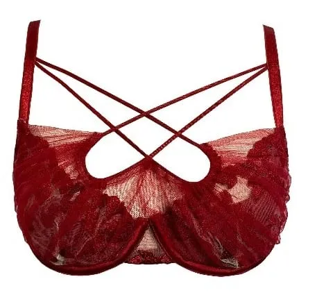 Hot Sale Summer Lace Embroidery Cross Tie Lingerie Set Sheer Mesh Push Up Bra Comfort Daily Wear Underwear Set for Women 32-38