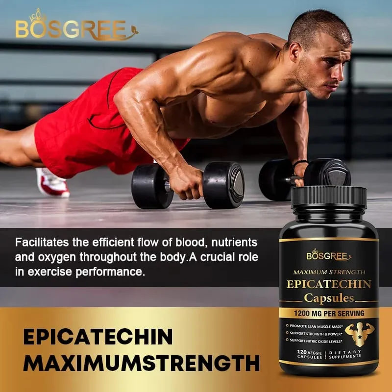 Epicatechin Capsules - Protein Synthesis Athletic Ability Strength and Lean Muscle Support - Carnosine Inhibitors Supplements