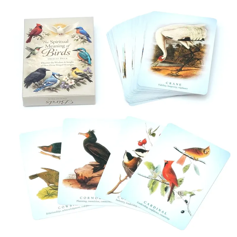 Spiritual Bird Oracle Card Deck 50 Feathered Messenger Cards for Intuitive Reading Symbolic Guidance Daily Reflection Nature Ins