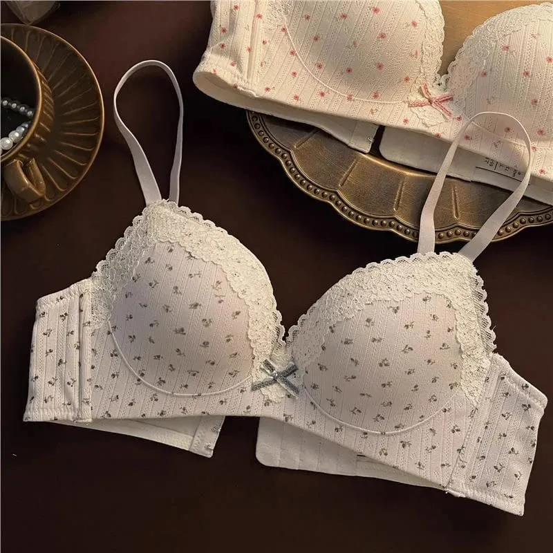 Sexy Lace Floral Bra Set Comfortable Non-steel Ring Beauty Back Small Breasts Gathered Up Support Anti-sagging Teenage Bra Set