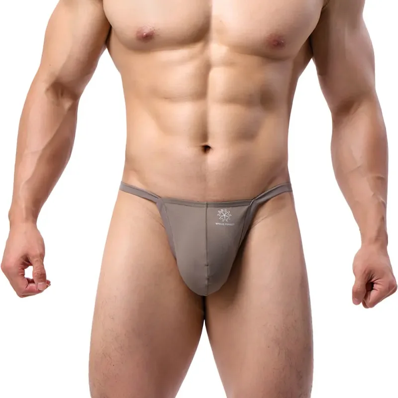 Men's Breathable Quick-Dry Fabric Thong Comfortable Briefs Low-Rise Underwear Sexy Innerwear Fashionable Brave Person