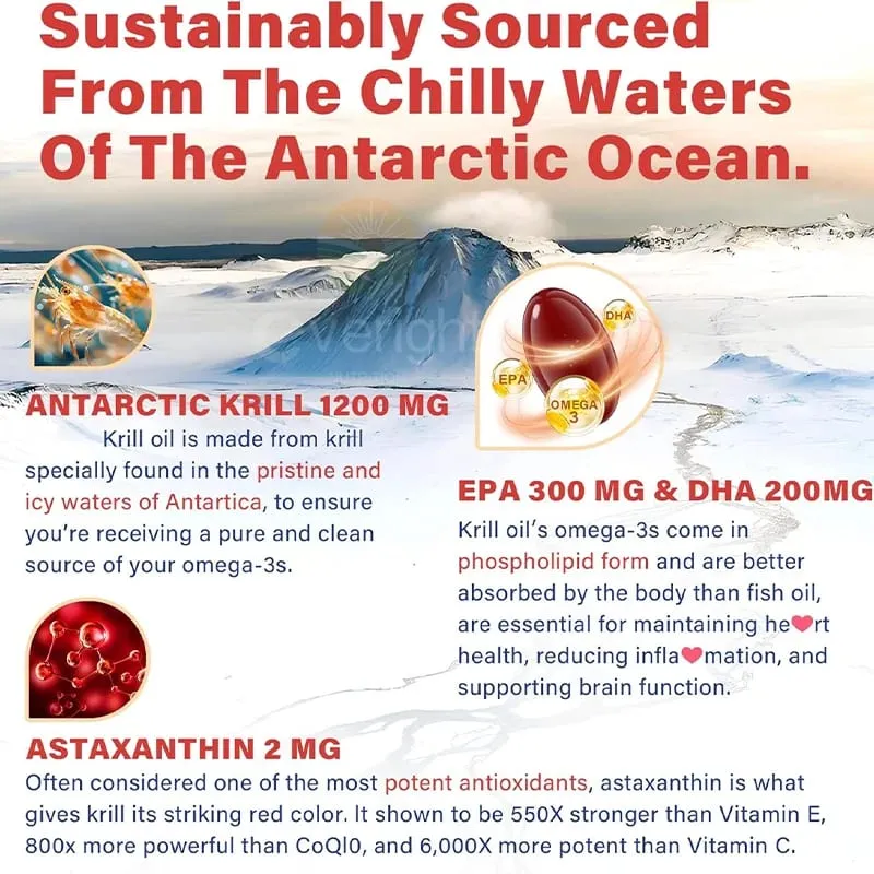 Antarctic Krill Oil 1200 mg with Omega-3 Supplement EPA & DHA Astaxanthin & Phospholipids for Heart Joint Brain Antioxidant