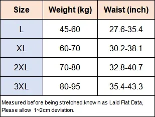 Men's Sexy Briefs Sheer Lace Ice Silk Panties Leopard Printed Letter Sissy Lingerie Bullet Separation Pouch Ultra-Thin Underwear