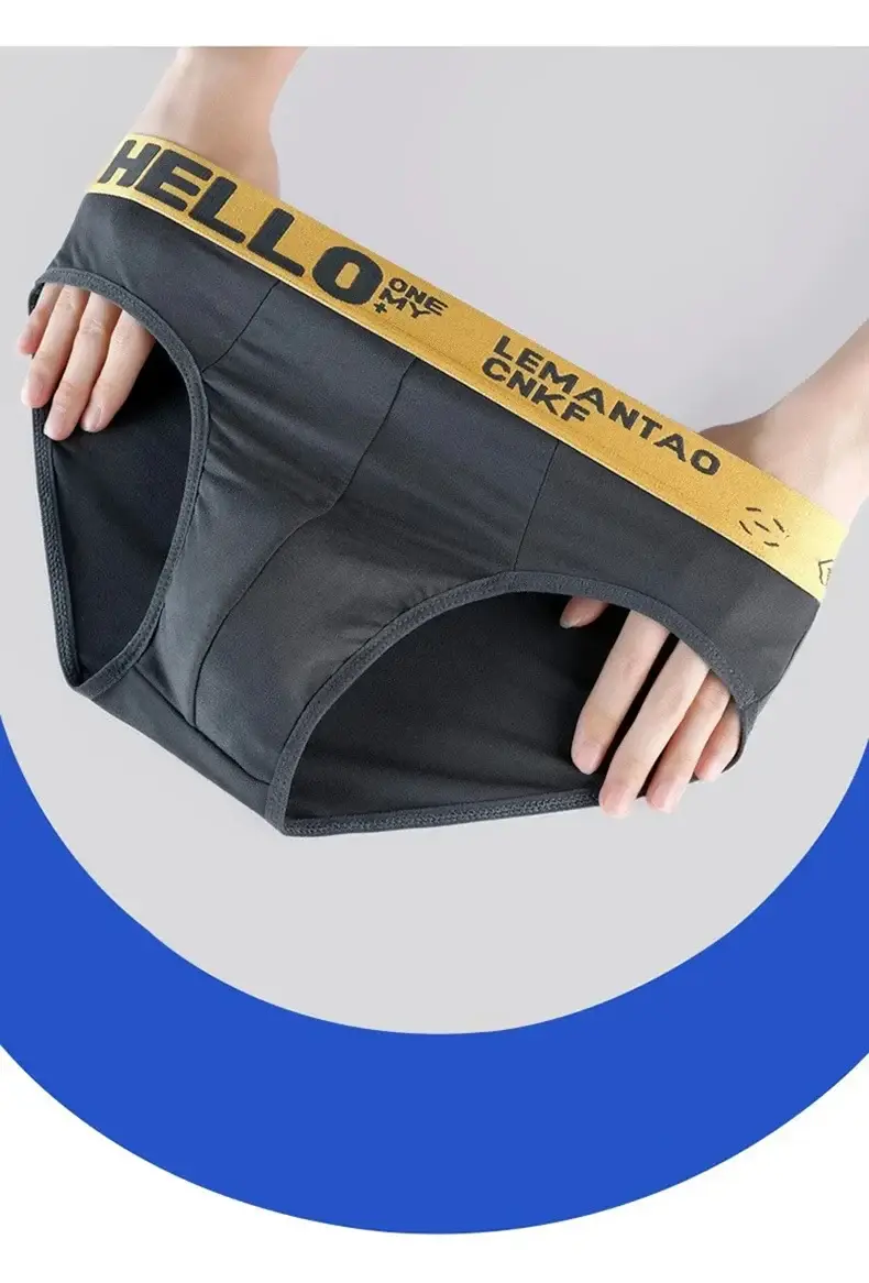 4 개/몫 남자 팬티 망 속옷 섹시한 반바지 남자 팬티 통기성 남성 탄성 속옷 파라 Hombres 대형 3256806286003295