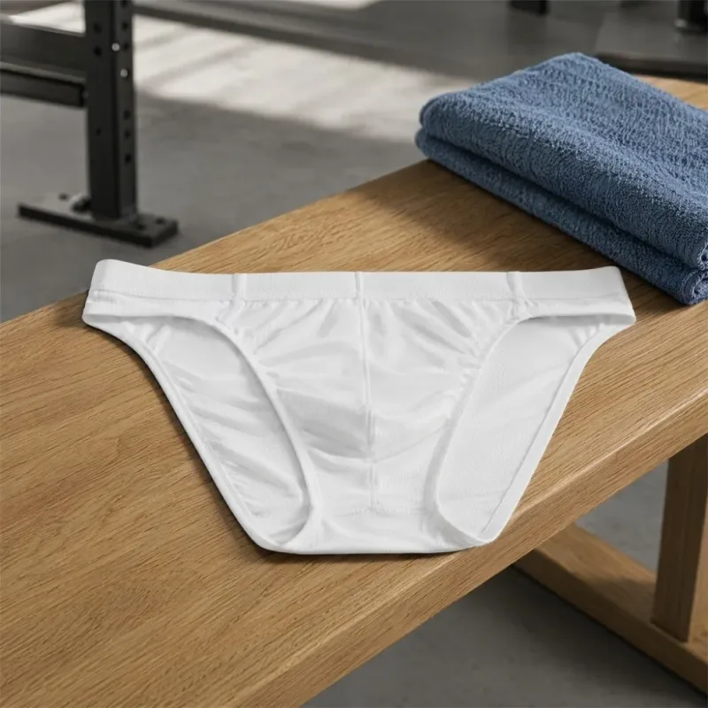 Lingerie Men Mesh Triangle Panties Low Waist Breathable Men Thin Briefs Transparent Thin Soft Underwear for Men Daily Wear