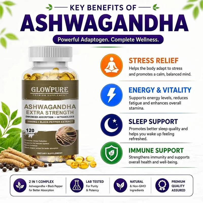 Ashwagandha 根萃取物膠囊用於緩解壓力、睡眠、能量和注意力高級配方補充劑