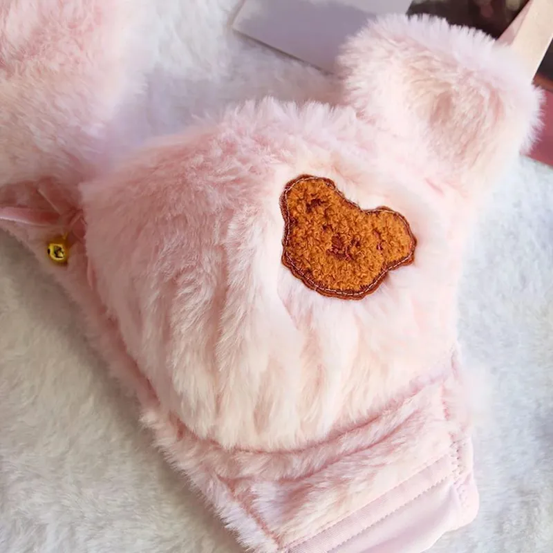 Winter Cute Cartoon Bear Embroidery Sweet Lingerie Bras Underpants Underwear Two Piece Sets Sweet Plush Set Sexy Girlfriend Gift