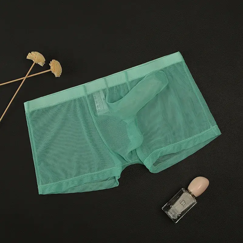 Erotic Men's Boxy Underwear Gays Sexy Low Waist Elephant Nose Boxer Shorts Thin Mesh Transparent Breathable Lightweight Panties