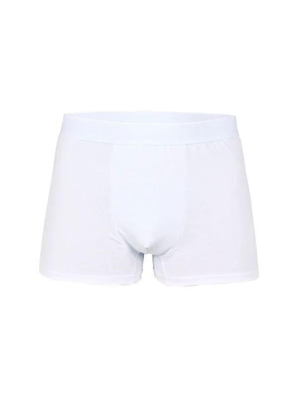 10pcs Pack White 2024 Men Panties Polyester Underwear Male Brand Boxer And Underpants For Homme Luxury Set Shorts Box Slip Kit