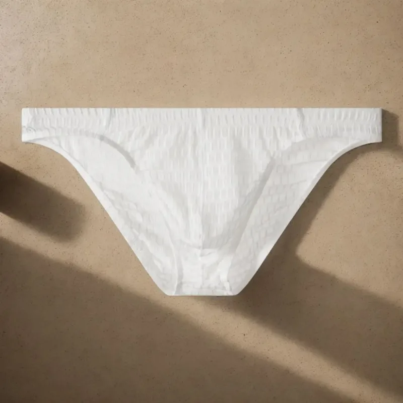 Breathable Low Waist Men's Briefs Transparent Ultra-thin Ice Silk Underwear Lingerie Mesh Panties Male Comfort Fit