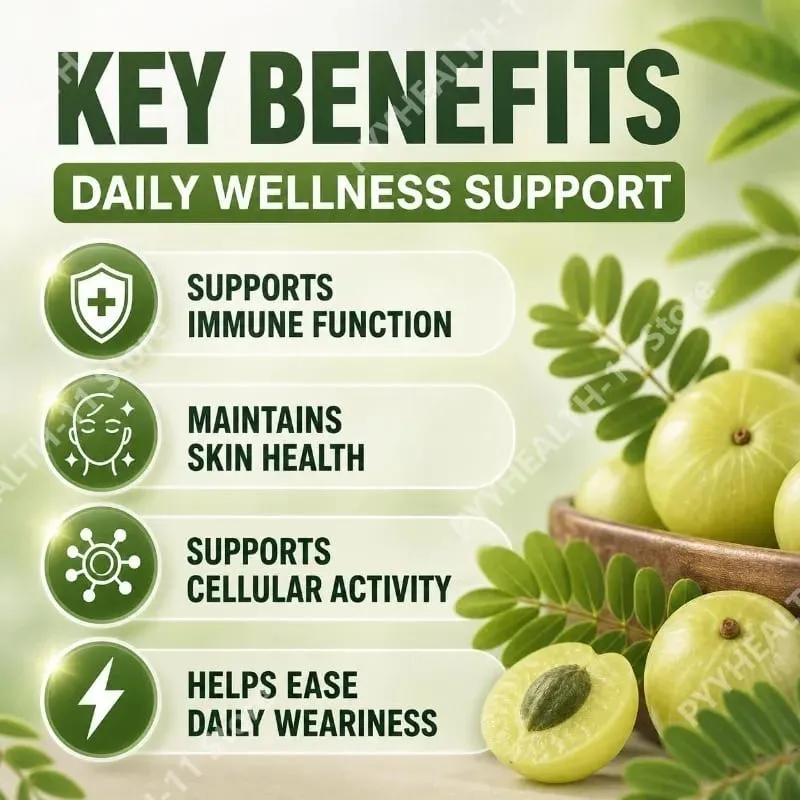 Docteat Amla Fruit Extract Capsules for Immune Support and Skin Health with Vitamin C Vitamin B3 CoQ10 and PQQ 60 Capsules