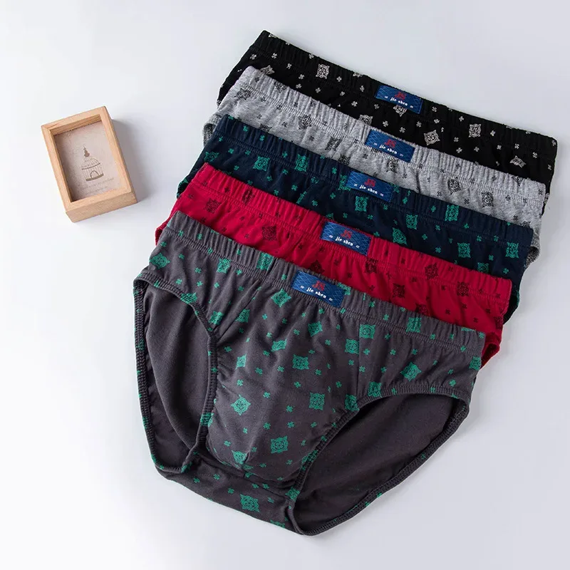100% Cotton Briefs Mens Comfortable Underpants Man Underwear L/XL/2XL/3XL/4XL5pcs/Set Free Drop Shipping