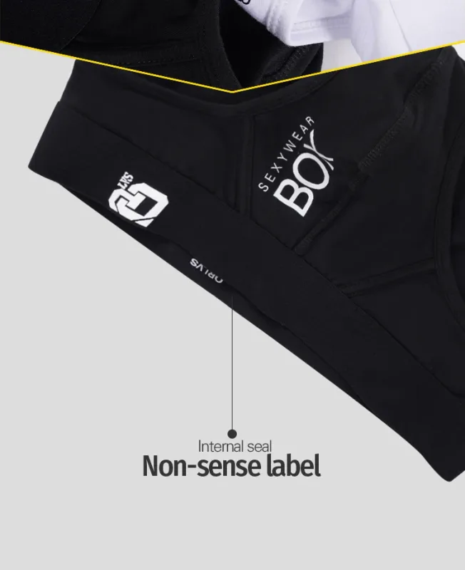 1/2Pcs High Quality Low Waist Sexy Mens Underwear Briefs Letter Print Men's Lingerie Cotton Men's Briefs Bikini Man Underpants