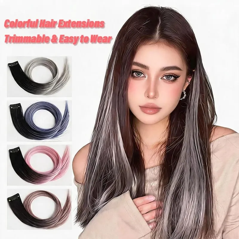 2Pcs Pack Two-Tone Ombre Highlight Clip in Wig Straight Hair Piece Synthetic Fiber Comb for Daily Party Look