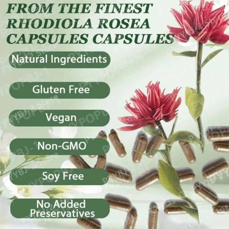 60 Pieces Rhodiola Rosea Capsules 500mg Natural Herbaceous Plants Supplement for Daily Stress Support & Energy Balance Health