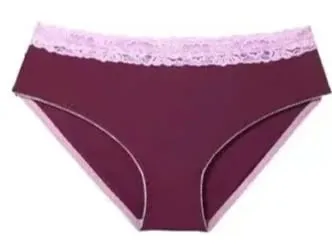 Sheer Mesh French Lace Bra Set Women Sexy Push Up Brassiere Wireless Soft Support No Underwire Lingerie Suit 32‑38AB