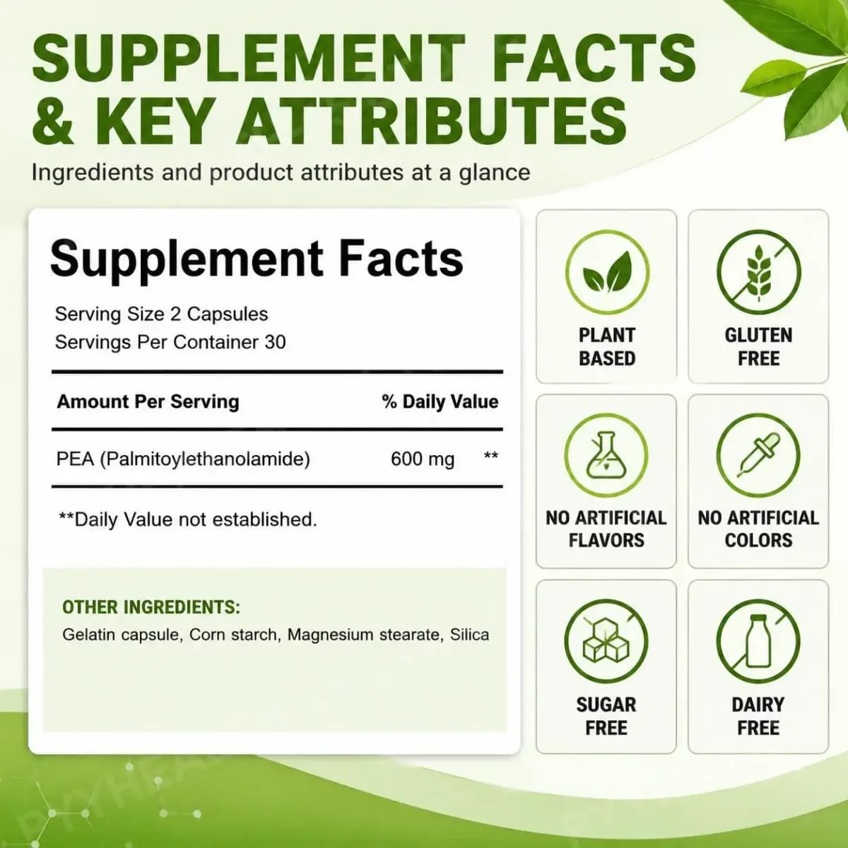 Docteat PEA 600mg Capsules Micronized Palmitoylethanolamide Supports Compound Balance Maintenance Comfort and Ease 60 Capsules