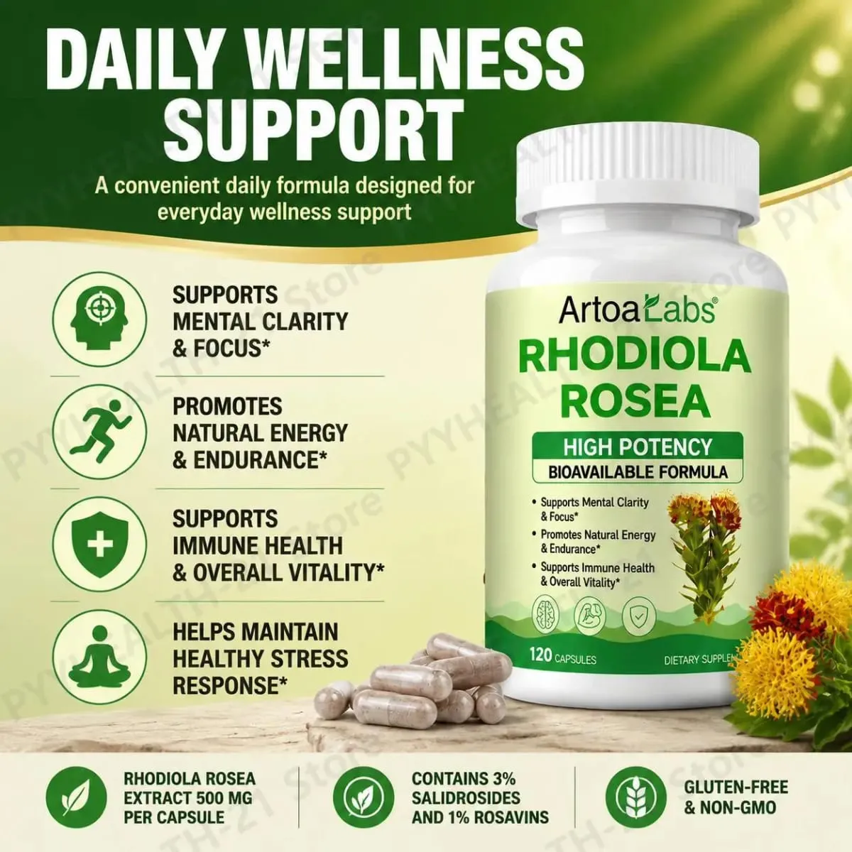 ArtoaLabs Rhodiola Rosea 500mg Capsules High Potency Supports Mental Clarity Focus Natural Energy Endurance 120 Vegan Capsules