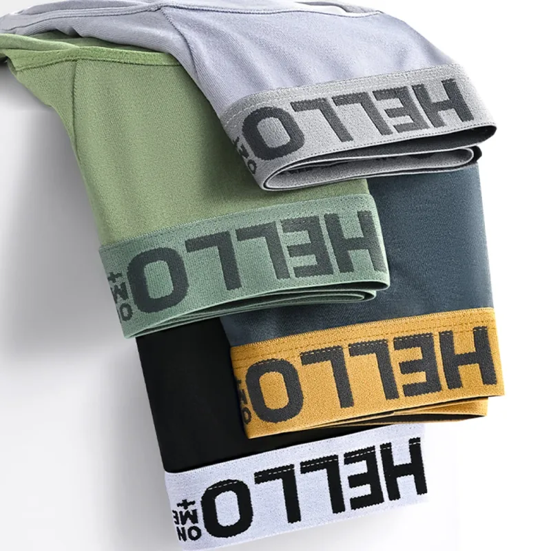 Random 2/5pcs/set Men's Briefs Sexy Men Underpant Four Season Fashionable Men Panties Plus Size L-5XL Sports Boxer Shorts