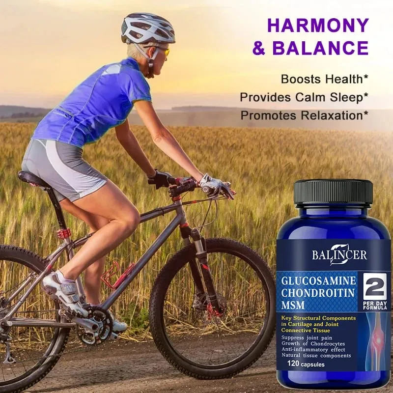 Glucosamine & Chondroitin & MSM 3-in-1 - Antioxidant Joint Health Support for Bone and Cartilage Health