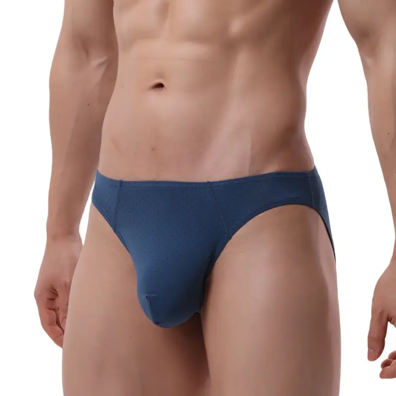 Quick Dry Briefs for Men Sexy Underwear Big U Pouch Mens Briefs Underpants Mesh Breathable Ropa Interior Hombre Slips Cuecas