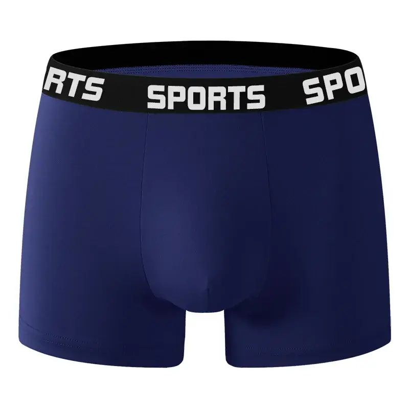 10PCS/Pack Men SPORTS Boxer Shorts Underwear Comfort Trend Panties Man Simple Breathable Underpants Sexy Male Intimate Panties