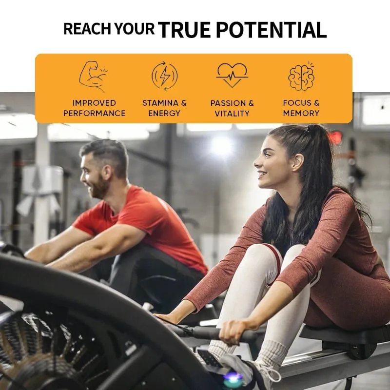 Ginseng + Ginkgo Biloba Supplement Boosts Energy Focus Supports Cognitive Athletic Performance & Heart Health 120 Caps