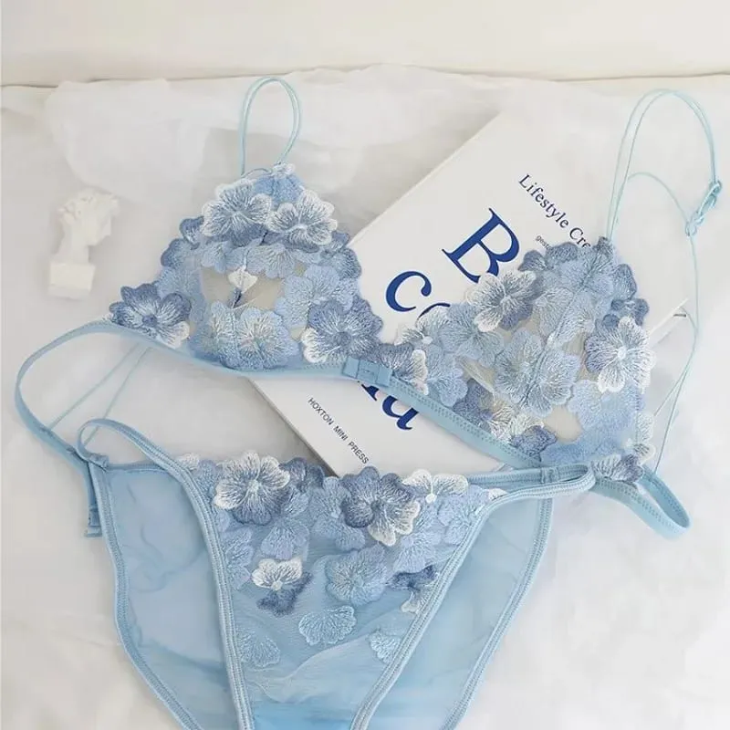 French Lace Bralette Small Bust Women Wireless Ultra Thin Sexy Embroidery Mesh No Underwire Push Up Comfort Bra Set BANERDANNI