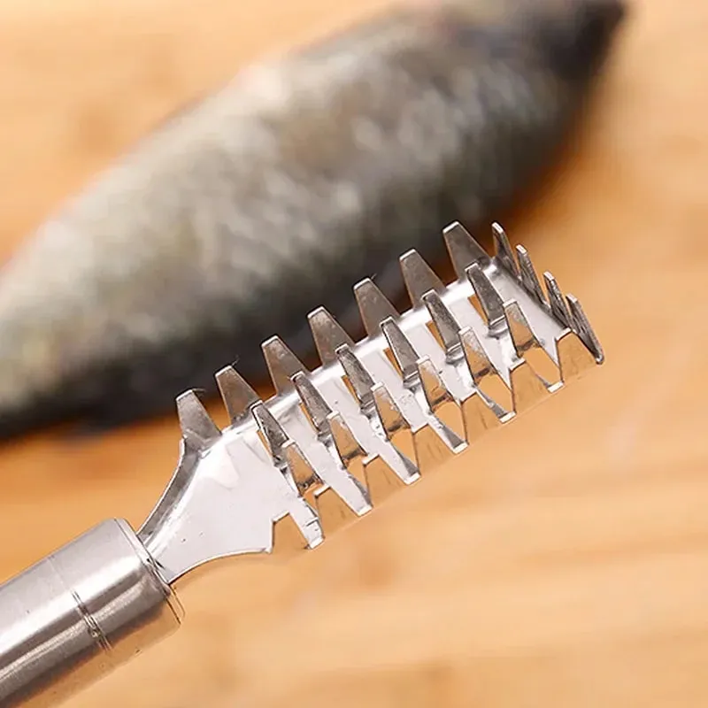 Fish Scale Removal Essential! Stainless Steel Round Tube Fish Scraper Fast No Splatter Effortless Kitchen Fish Tool