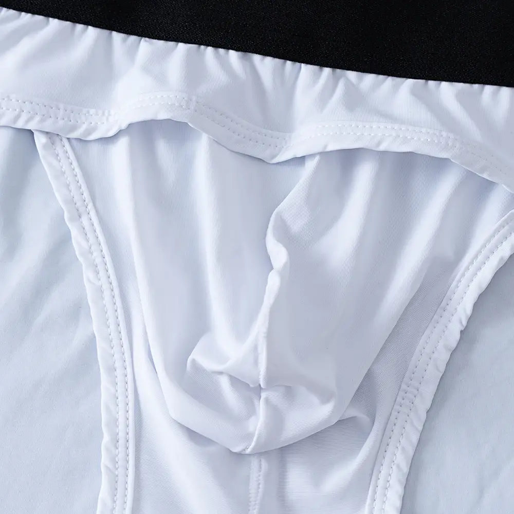 Men Underwear Briefs Underpants Nylon Mesh Quick Dry Men's Briefs Bikini Slip Men's Jockstrap Briefs Swim Swimwear Shorts D2017