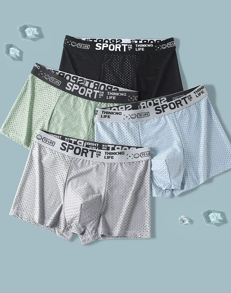 4pcs Summer Mesh Men Boxer Underwear Quick Dry Panties Man Boxer-briefs Breathable XL XXL 3XL 4XL Male Shorts Mens Undershorts