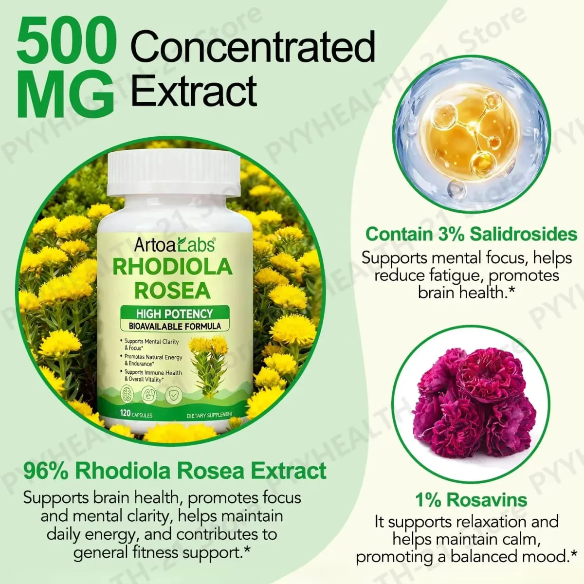 ArtoaLabs Rhodiola Rosea 500mg Capsules High Potency Supports Mental Clarity Focus Natural Energy Endurance 120 Vegan Capsules
