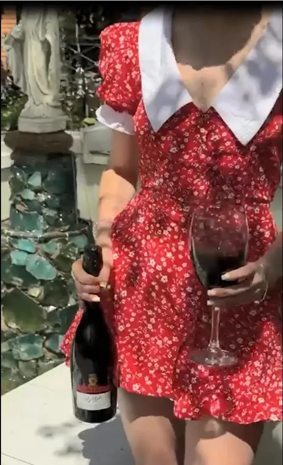 Red Floral Print Peter Pan Collar Women Summer Dress Puff Sleeve V Neck A-line Mini Dresses 2026 Lady Weekend Getaway Vestidos — image 4