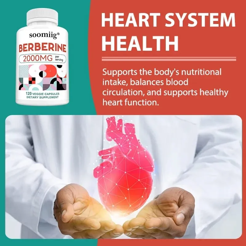 2000 Mg Berberine Supplement Capsules Supports Metabolism Regulates Blood Sugar Levels and Enhances The Immune System