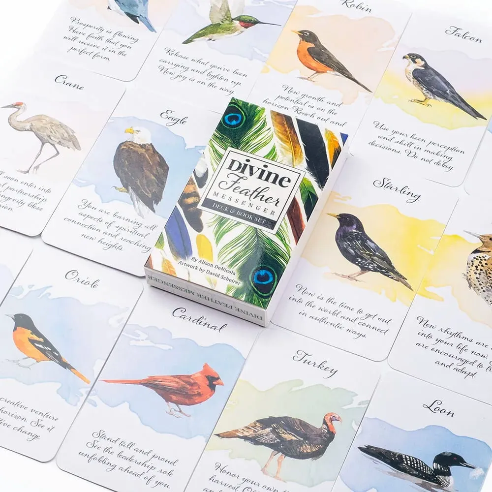Divine Feather Messenger Tarot Oracle Cards 44 Birds Symbolism & Energies 10.3x6CM Divination Fate Reading and Board Game