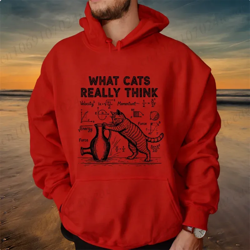 Funny Cat Physics Design Hoodies Math Science Humor Cat Print Sweatshirt Personalized Men Women Casual Streetwear Fashion Hoodie
