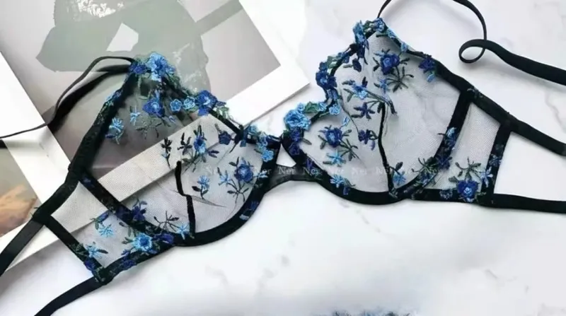 French Floral Bra Set Women | Sweet Sexy Sheer Mesh Lace Transparent Underwear Set | Practical & Feminine MOYISU Sexy Panty Set