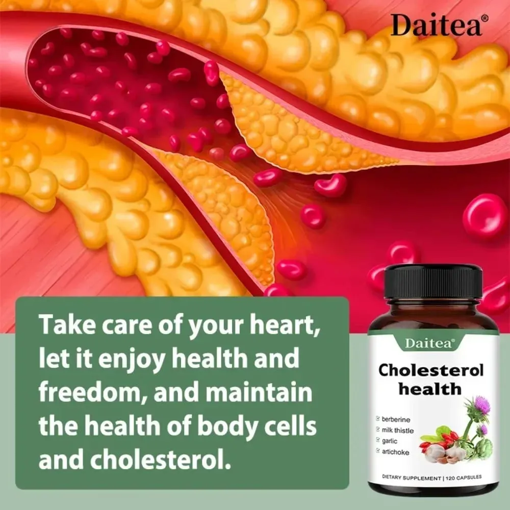 Cholesterol Supplements - Keep Blood Flowing and Promote Cardiovascular Health
