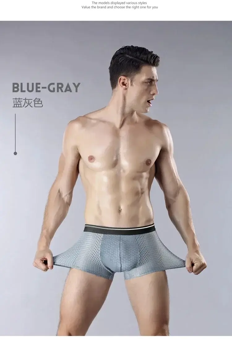 4PcsMen's Underwear Men Boxer Shorts Ice Silk Mesh Boxer Shorts Summer Sexy Breathable Antibacterial Underpants Plus Size XL-6XL