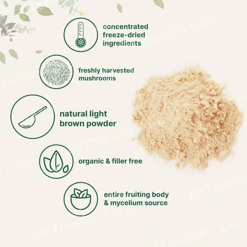 Organic Lion's Mane Mushroom Pure Fruiting Body Superfood Understøtter hjernefokus Energi Immunsundhed Fantastisk til smoothies kaffe