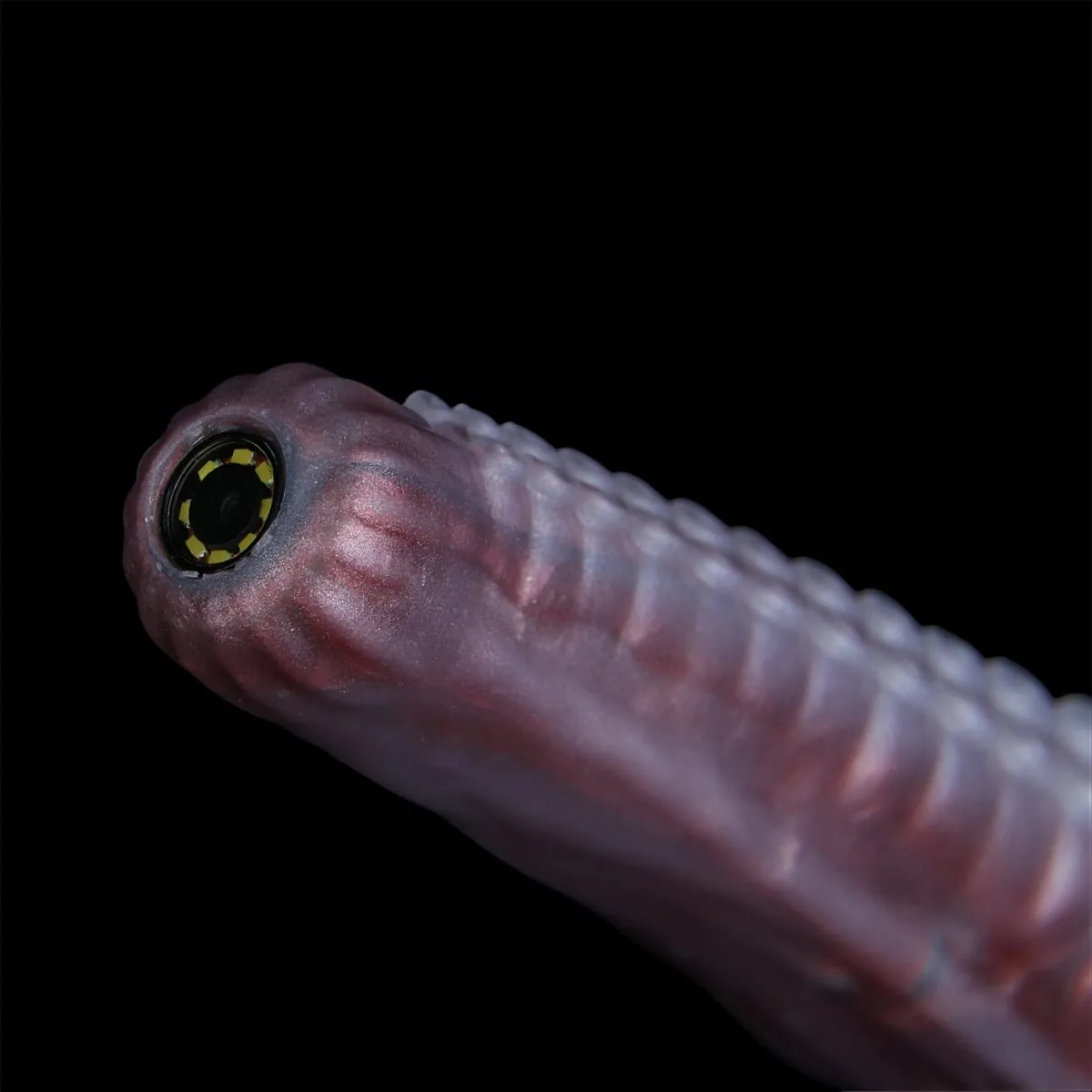 54cm Endoscope Camera Silicone Long Anal Plug with 8 LED Whip Peekable HD Real-Time Viewing Dildo Adult Sex Toys