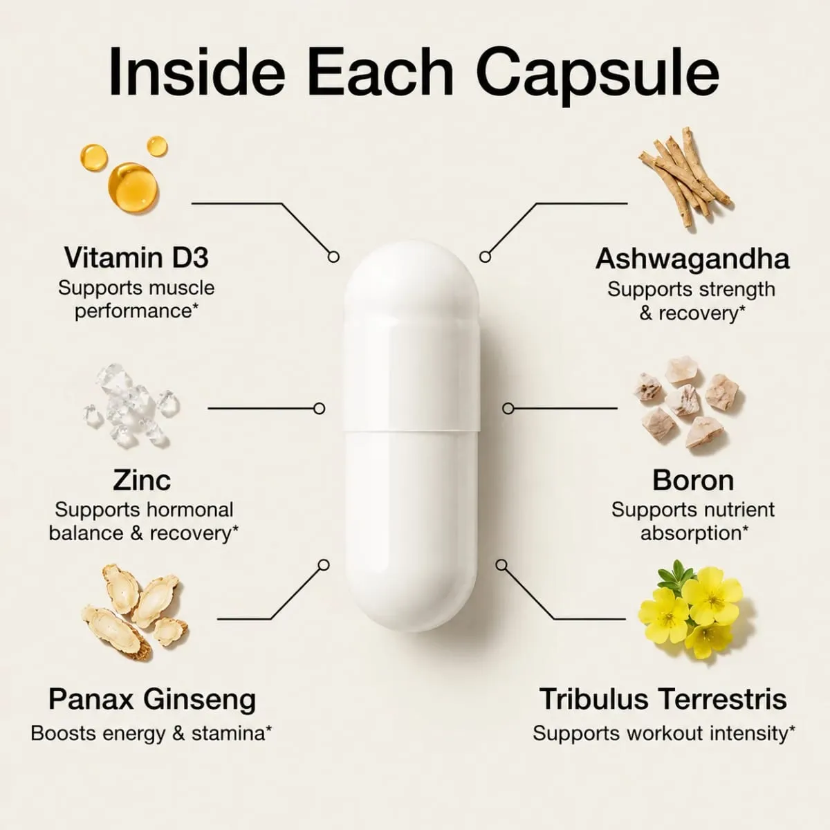Muscle Builder Sports Capsules Supports Muscle Growth & Physical Strength Enhance Endurance Speed Up Recovery Reduce Fatigue