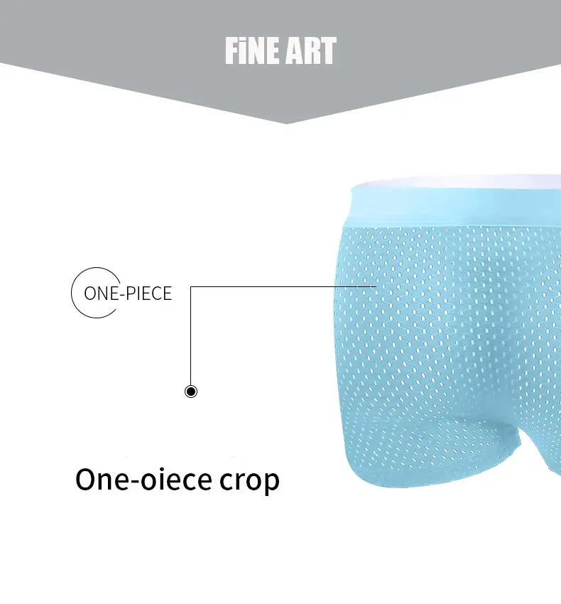 5pcs Men's Boxer Shorts Ice Silk Underwear Plus Size Underpants Cool Breathable Sexy Slim Panties Mesh Lingerie Wholesale Lots 3256809239733736