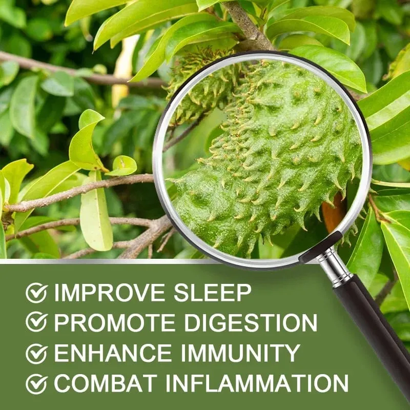 Soursop Graviola 1950mg Capsules Supports Healthy Immune System Digestion Better Sleep & Natural Antioxidant Activity