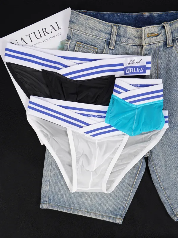 Men's Ice Silk Ultra-Thin Barely-There Mesh Sheer Briefs, Striped V-Shape Elastic Waistband Summer Daily Commute Underwear