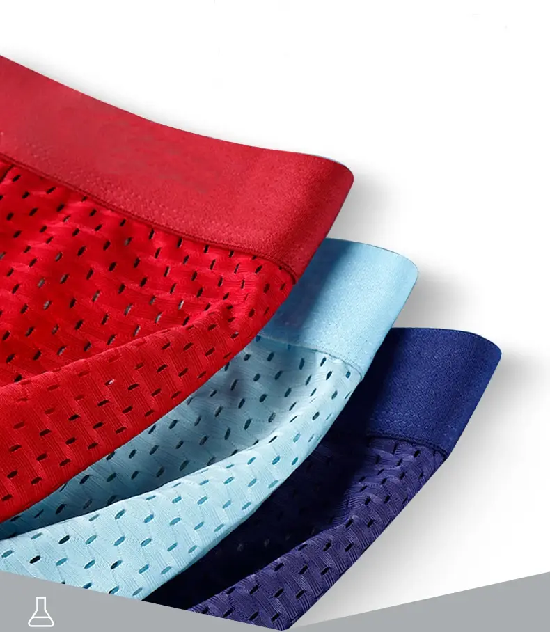 5pcs Men's Boxer Shorts Ice Silk Underwear Plus Size Underpants Cool Breathable Sexy Slim Panties Mesh Lingerie Wholesale Lots 3256809239733736