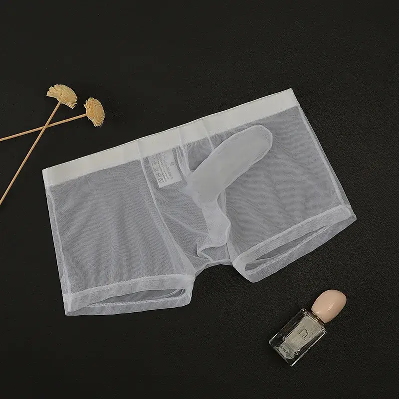 Erotic Men's Boxy Underwear Gays Sexy Low Waist Elephant Nose Boxer Shorts Thin Mesh Transparent Breathable Lightweight Panties